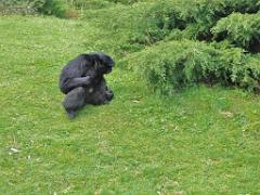 149 BIO PARC DE DOUE LA FONTAINE 7- 2016_000021